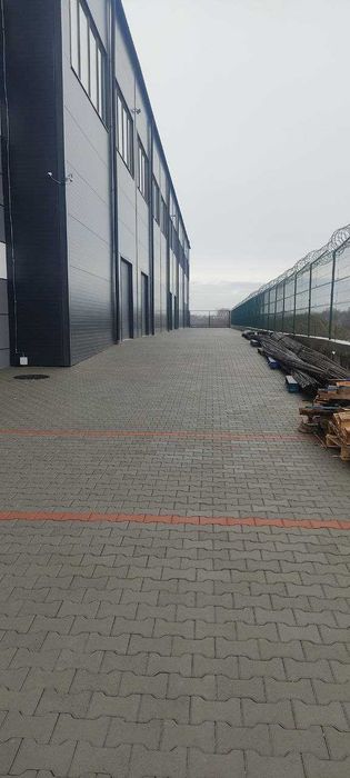 Commercial real estate at (area 4856 m²) - Atlanta.ua - photo 7