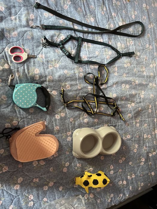 Аксесуари для песика чи котика