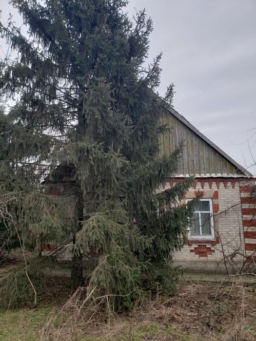 Продам дом с.Марьевка