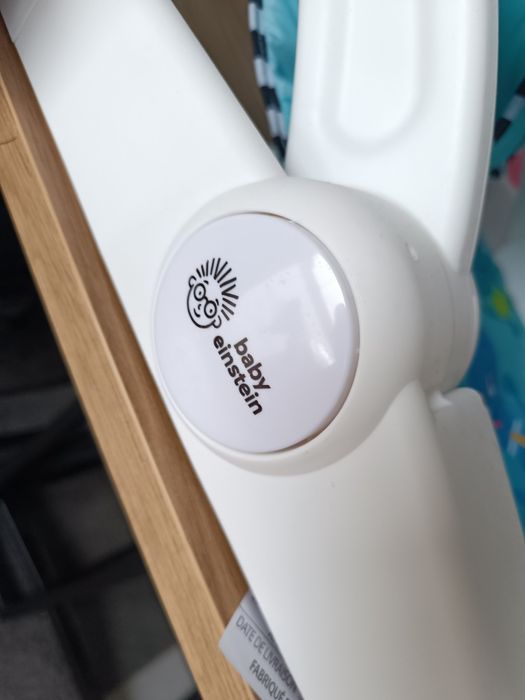 Cadeira baby Einstein nunca usada