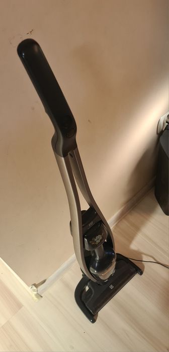 Odkurzacz pionowy Electrolux PQ91-40GG