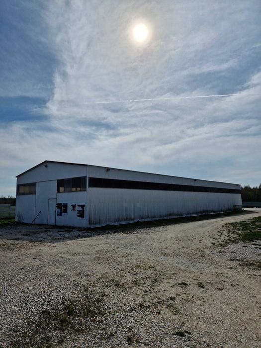 Hala magazynowa wynajem