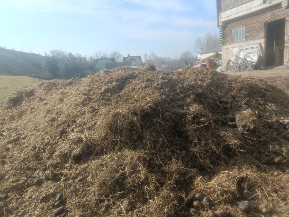 Gnój obornik koński