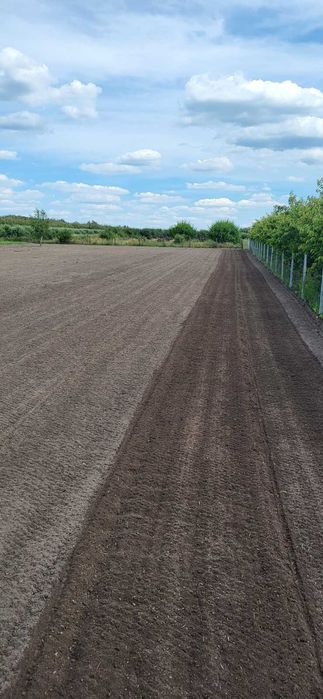 glebogryzarka separacyjna kosiarka ładowarka zamiatarka trawnik