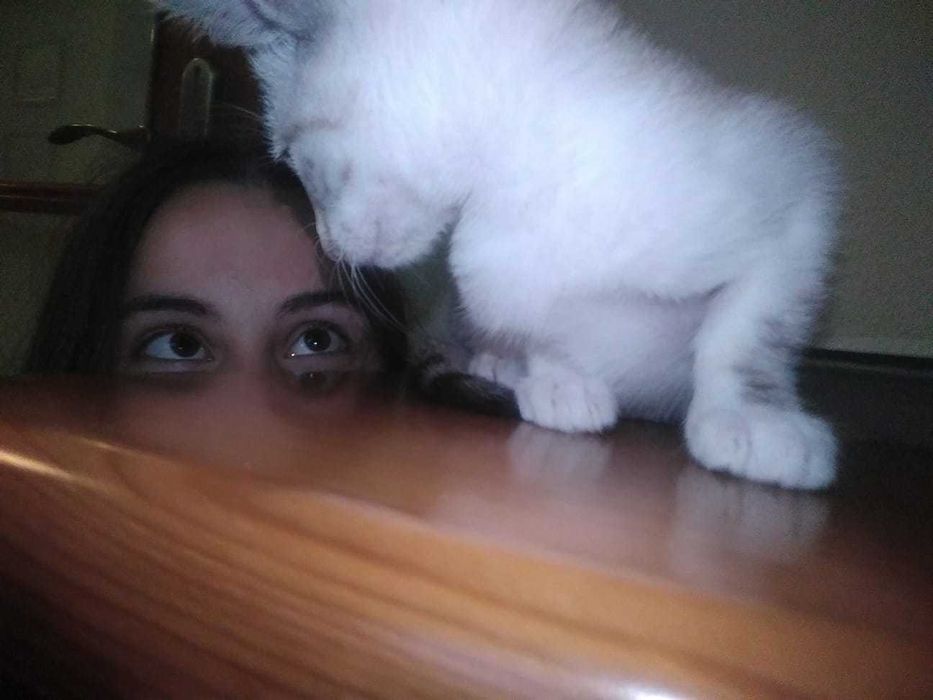 Babysitter/Petsitter