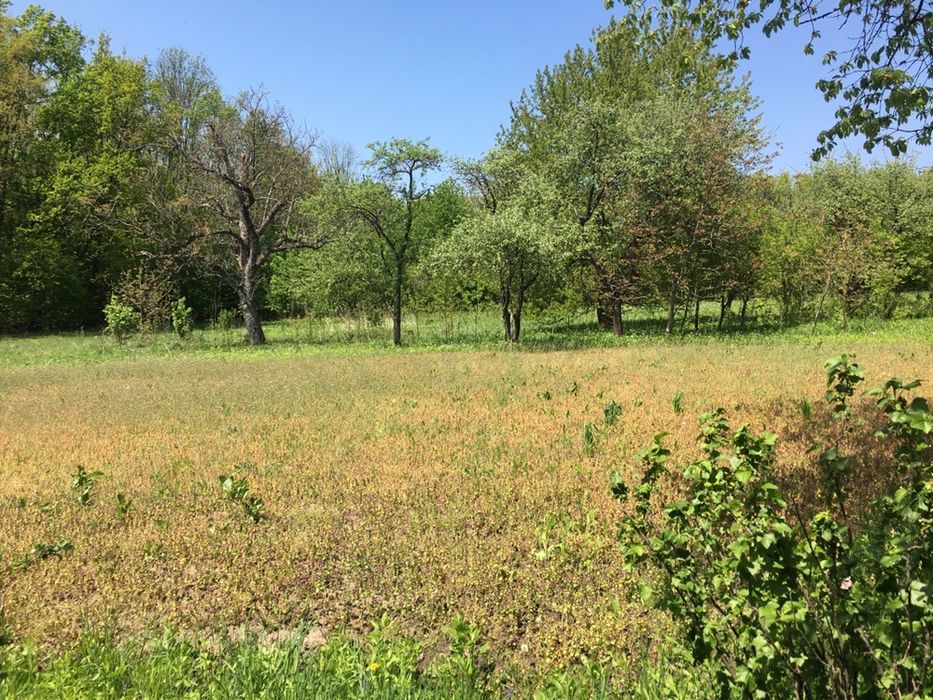 Продається райський куточок під дачу або забудову