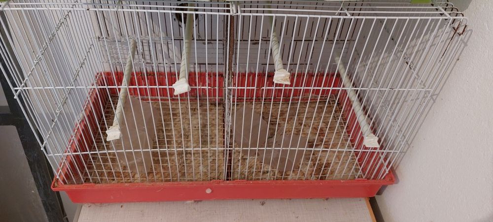 Gaiolas usadas - com separador