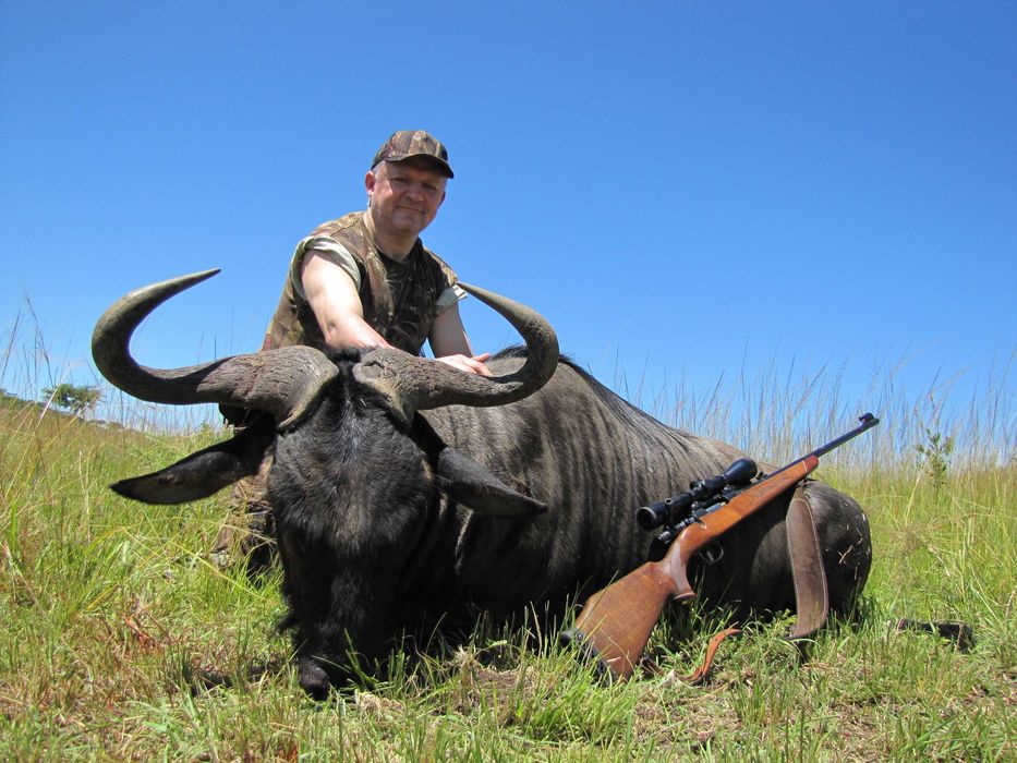 Medalion antylopy gnu