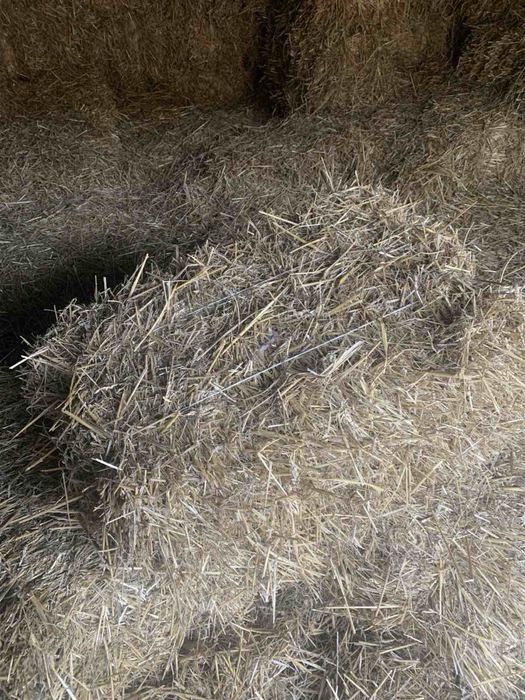Продам тюки соломи