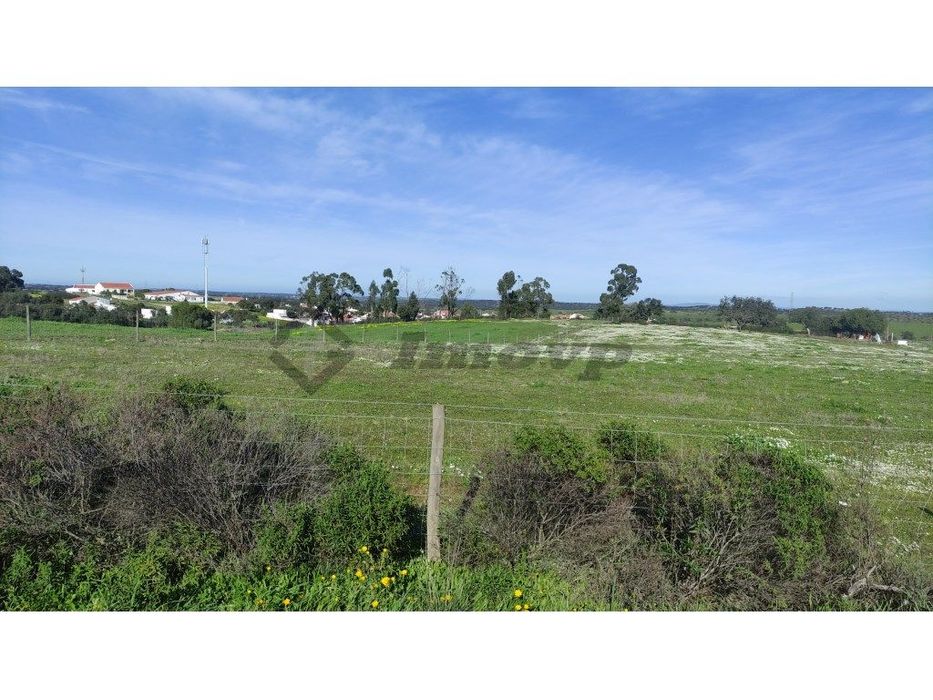 Terreno rústico de 0,775Ha localizado na Dogueno - Almodôvar