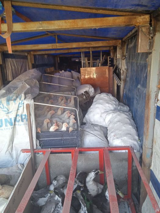 Вантажні/домашні перевезення/Виїзд із прифронтових селищ та міст