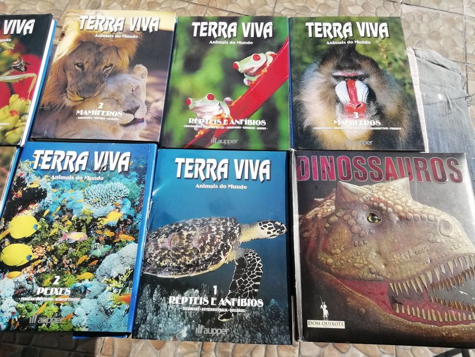8 Lindos Livros Animais do Mundo