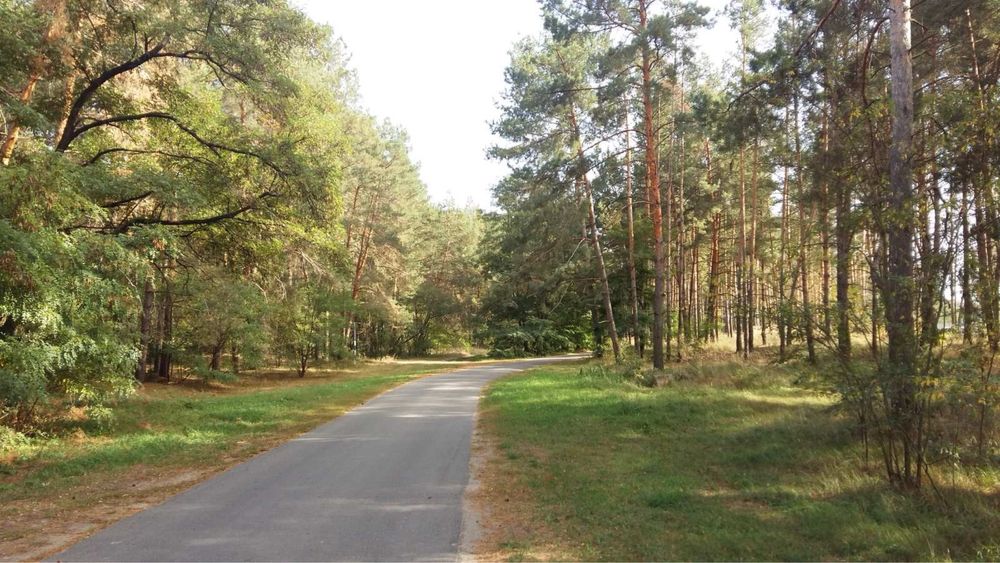 Проців! Хвойний Ліс! Неповторна ділянка для Будинку Вашої Мрії! 57000$