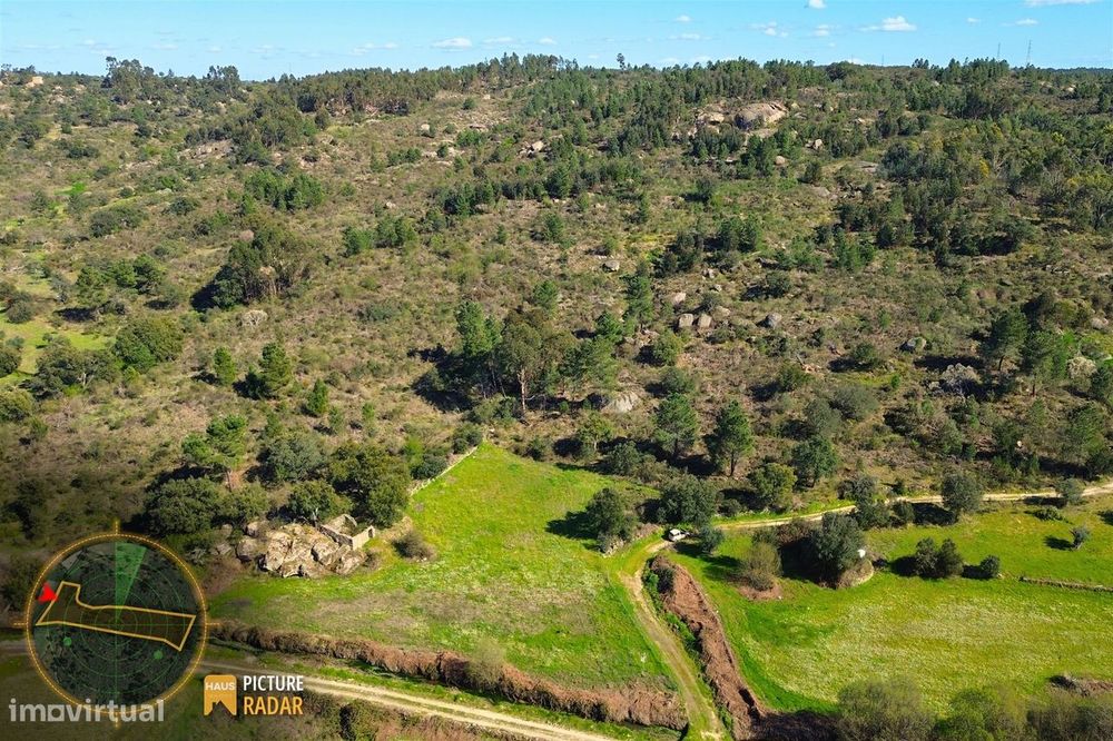 Terreno 1.1ha com Ruína e Vale Fértil | Cafede, Castelo Branco