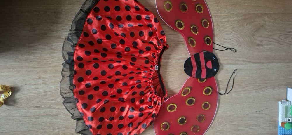 Przebranie na bal Strój biedronki