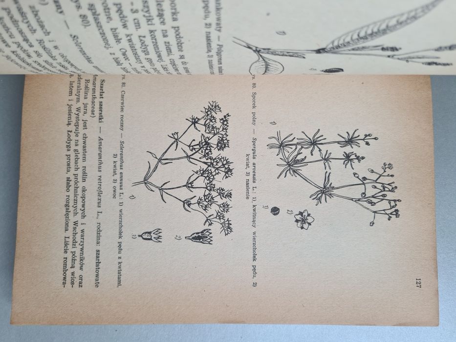 Ogólna uprawa roli i roślin - Książka