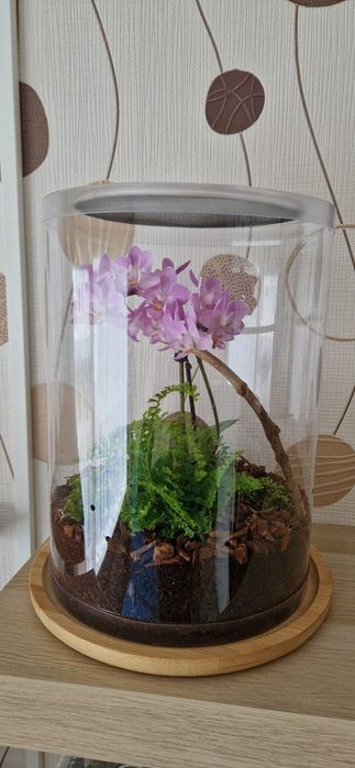 Terrarium z wentylacją - tuba 21x35cm - dla modliszek, pająków - duża