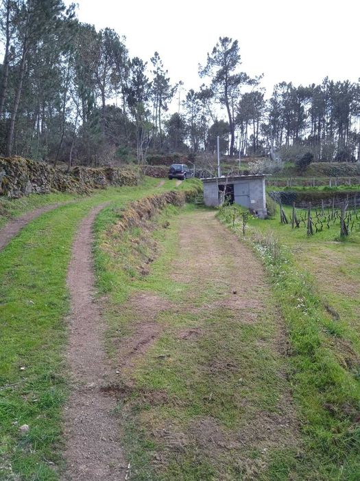 Vende-se quinta em Tibaldinho