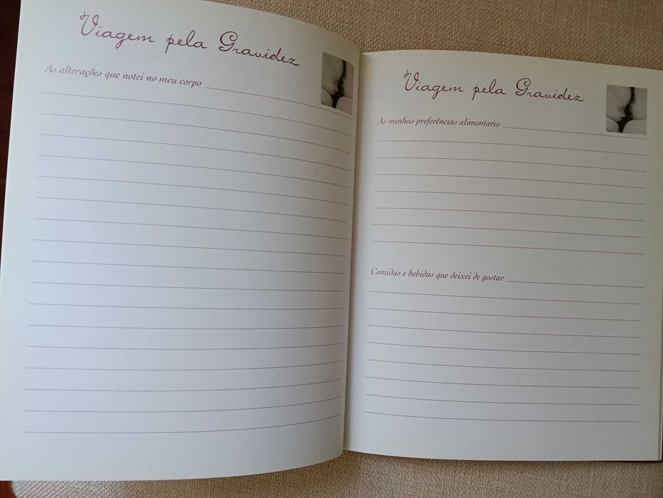 Livro - A minha gravidez