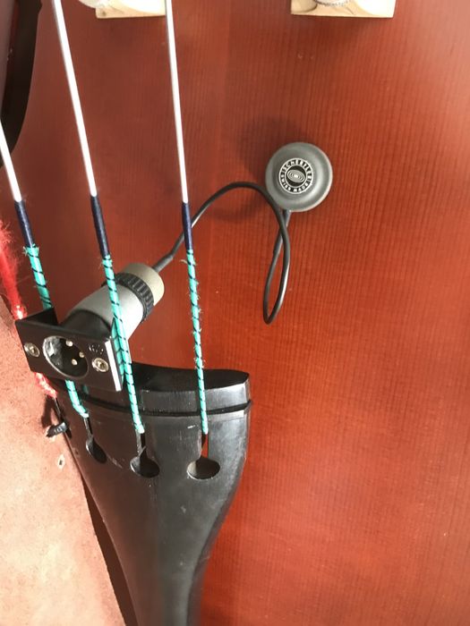 Shertler Dyn B Capatador para contrabaixo