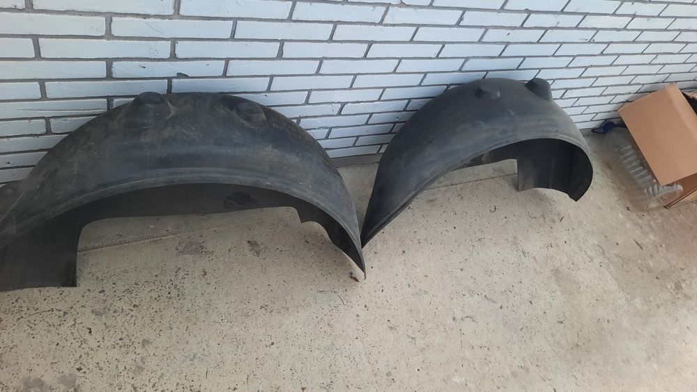 Підкрилки задні пара