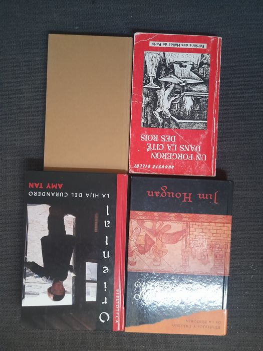 Livros em inglês e espanhol