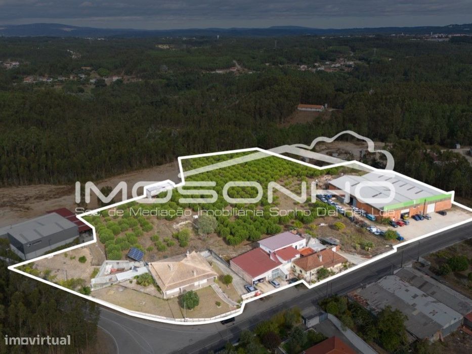 Venda conjunta de 2 moradias, 3 apartamentos, 3 armazéns e terrenos...