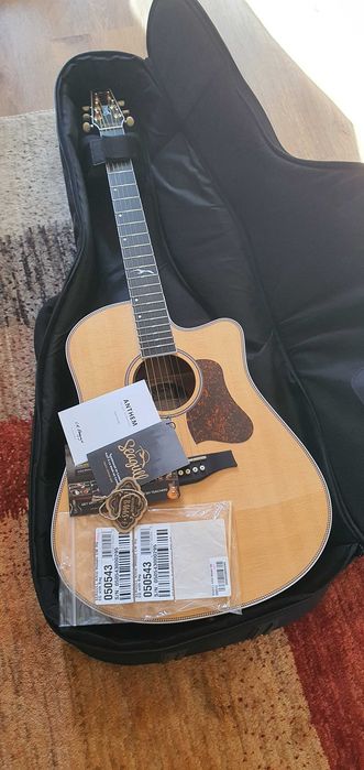 Gitara Elektro-akustyczna Seagull Artist Mosaic CW HG EQ zakup 2026