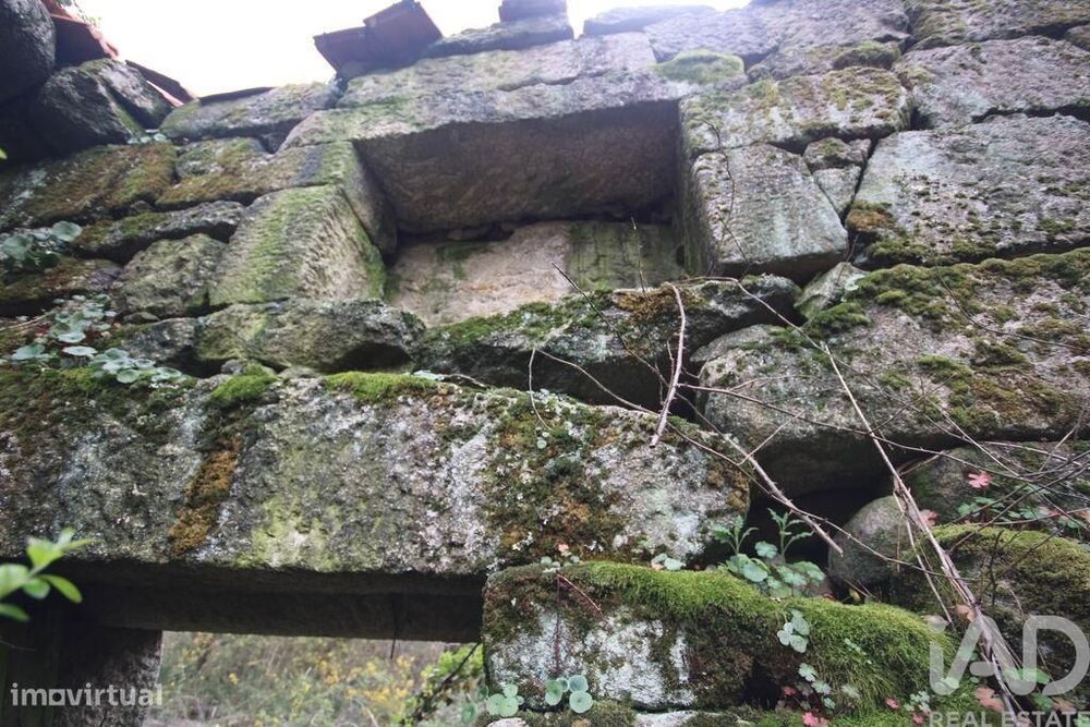 Casa rústica em Cambra e Carvalhal de Vermilhas de 3971 m2