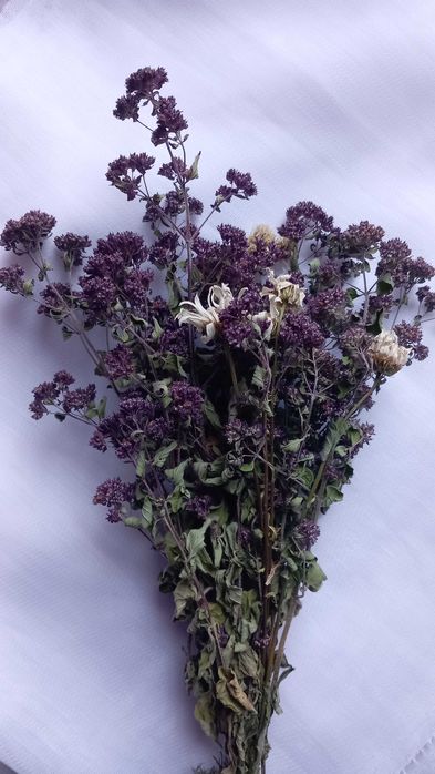 Suszony pęczek ziół i kwiatów
