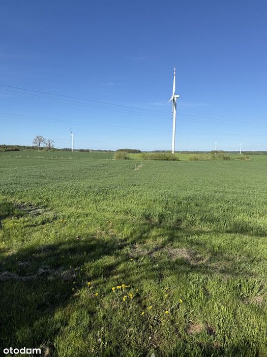 Działka budowlana nad Morzem