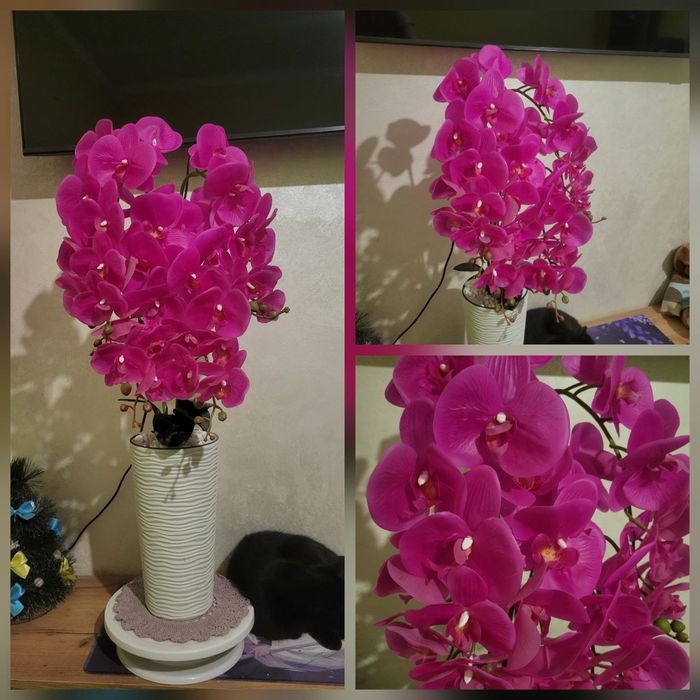 Латекса  орхідеї