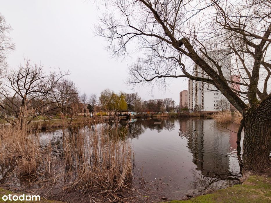 Kawalerka, piękny widok, świetna lokalizacja
