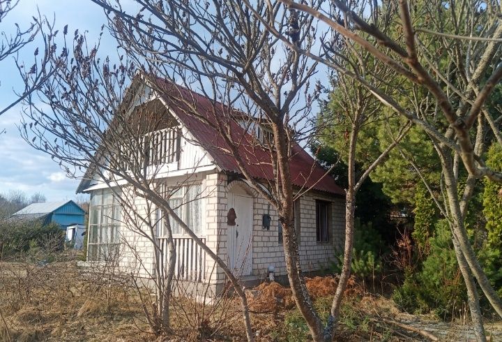 •Продам дачу біля лісу , 12 сот землі