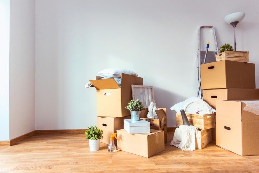 Moving and Cleaning Services492194466094141445