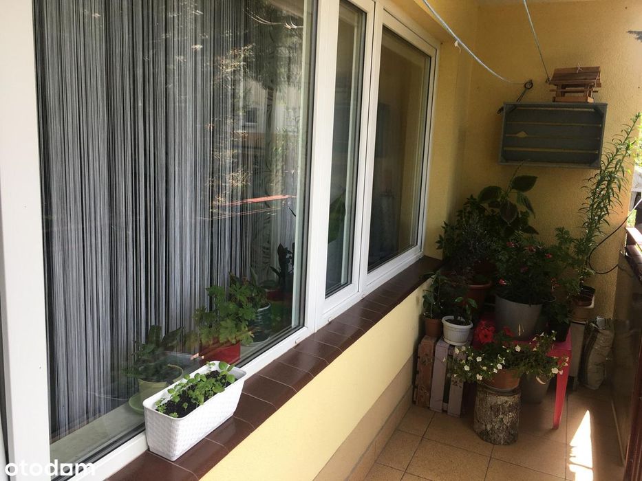 Przytulne mieszkanie nad Sanem