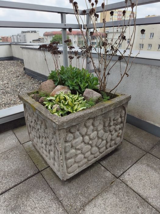 Betonowa donica 3 sztuki