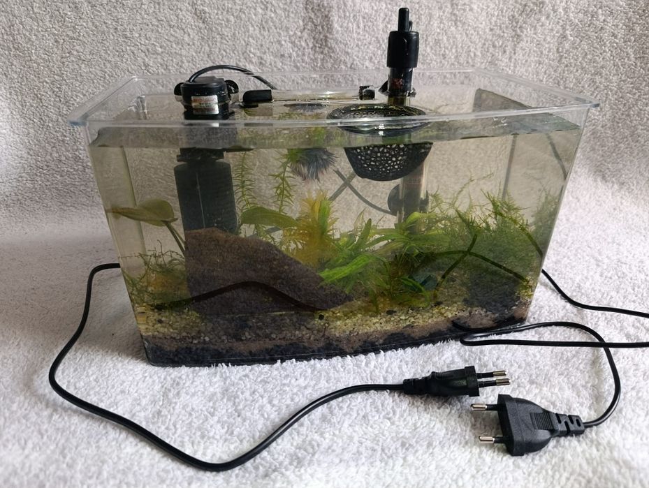 Akwarium z wyposażeniem