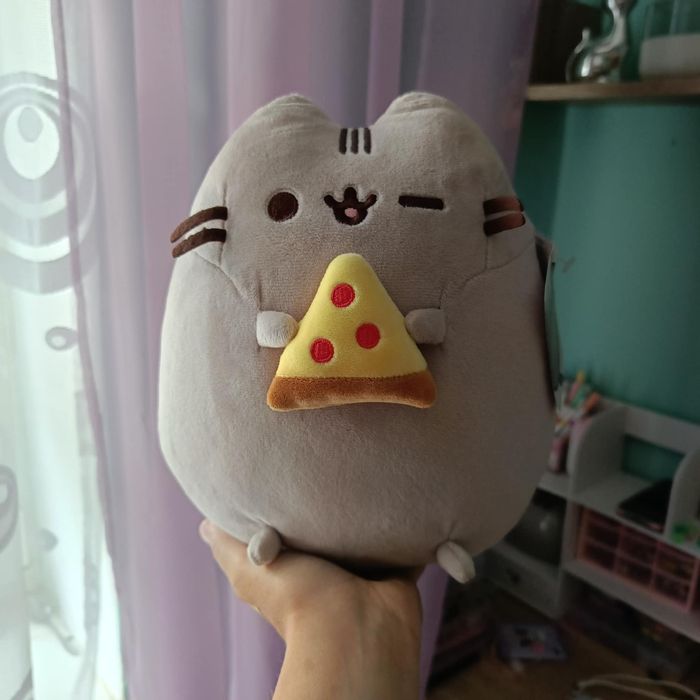 Pusheen z pizzą nowy