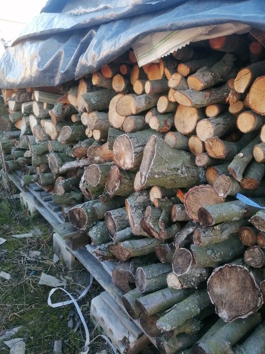 Drzewo opałowe suche