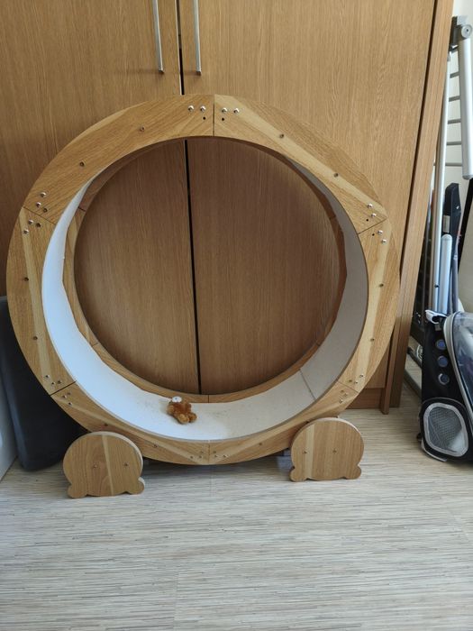 Roda de gatos Nova