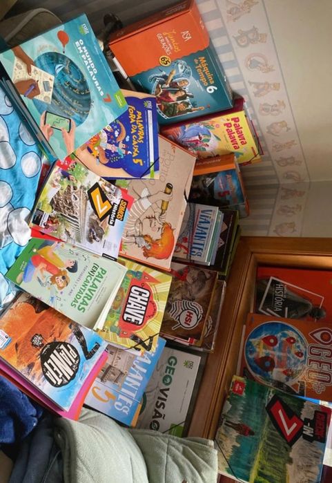 Dossier de Manuais escolares