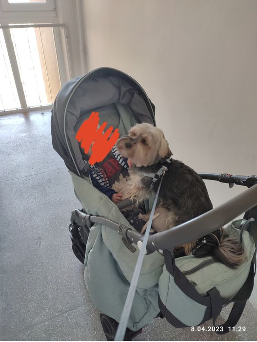 Wózek Rico 2w1 spacerówka/gondola