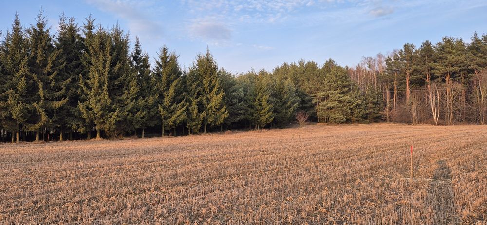 Atrakcyjna działka budowlana w Borach Tucholskich