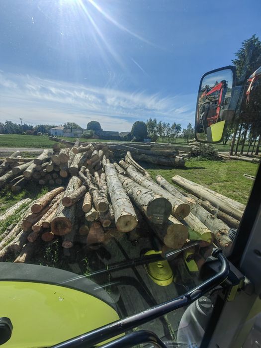 Buk, grab, dab i inne gatunku Drewno opałowe kominkowe