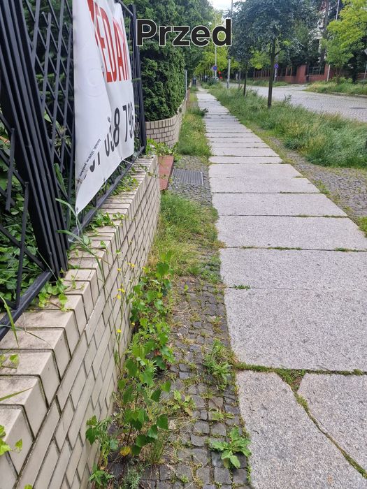 Młody Ogrodnik – Szybko, Dokładnie i w Dobrych Cenach!