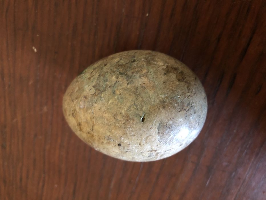 Ovo lapidado de pedra preciosa, bom estado