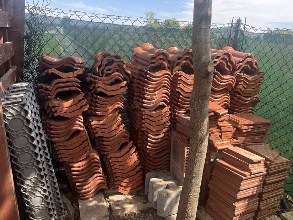 Dachowka Roben Bornholm gąsiory