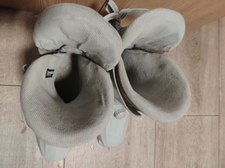 Buty narciarskie Lowa