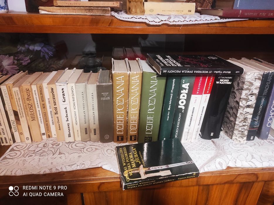 Klasyka literatury – Prus, Hemingway, Miłosz, Grass – tanio